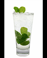  Batched Cucumber Mint Water
