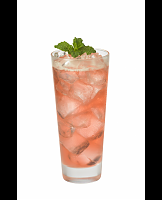  Berrymint Cream Soda
