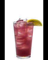  Black Cherry Gin and Tonic