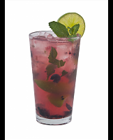  Blackberry Mojito