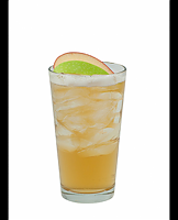  Elderflower Gin Blossom