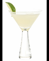  Elderflower Vodka Gimlet