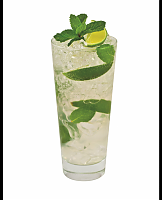  Exotic Citrus Mojito