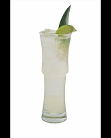  Fresh Limeade