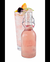  Ginger Stone Sparkling Water