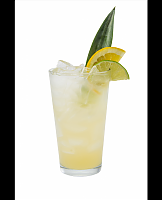  Hawaiian Island Sparkling Lemonade
