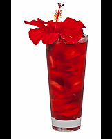  Hibiscus Strawberry Soda