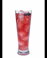  Huckleberry Twist