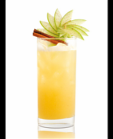  Iced Honey Pumpkin Cider