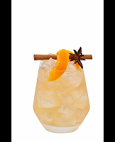  Iced Pumpkin Cider