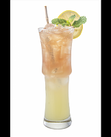  Japanese Kombucha Palmer