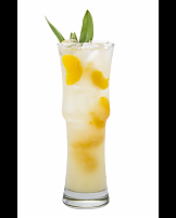  Mango Dry Soda