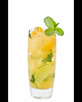  Mojito Mint & Mango Agua Fresca
