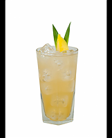  Pineapple Ginger Flip