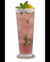  Pomegranate Mango Mojito