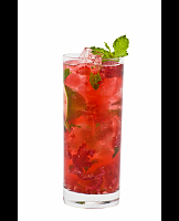  Raspberry Hibiscus Nojito