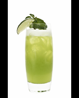  Sparkling Exotic Citrus Green Tea