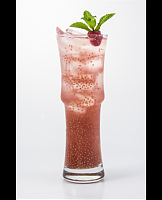  Stone Fruit Chia Kombucha-Lemonade