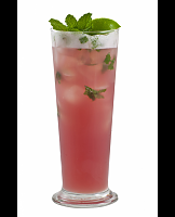  Stone Fruit Mojito