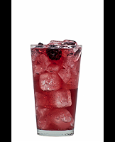  Sugar Free Blackberry Italian Soda