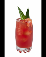  Tiki Fresh Tea