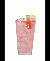  Watermelon Champagne Cocktail