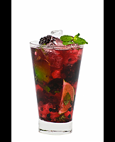 Wildberry Vojito
