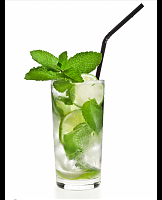  Classic Mint Mojito